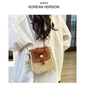 Korean style straw woven crossbody bag for women, chic hard-shell shoulder bag with rope strap.