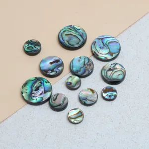 Natuurlijke abalone schelp ronde hangers DIY oorbellen ketting sieraden maken accessoires