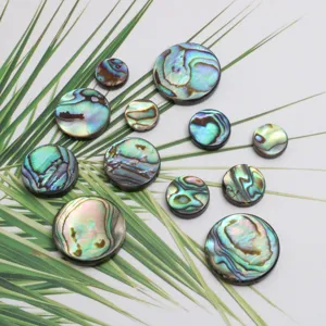Natuurlijke abalone schelp ronde hangers DIY oren ketting sieraden accessoires