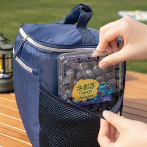 Blauer trapezförmiger, wasserdichter Kühltasche Isoliertasche Picknicktasche mit Frontnetz