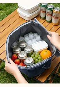 Portable insulated cooler bag for picnic and lunch, waterproof and thermal keeping food fresh.