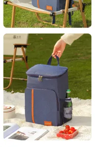 Outdoor picnic insulated lunch bag with portable handle, durable fabric and side mesh pocket.