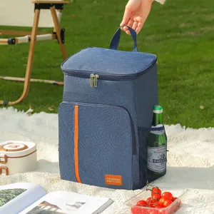 Insulated lunch bag for outdoor picnic cooler bag portable waterproof food storage container