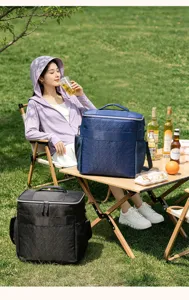Insulated picnic cooler bag with cross-body strap, portable thermal lunch box storage pack.