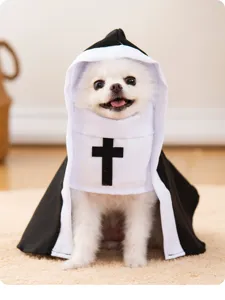 Close-up detail of the funny Halloween nun pet costume, featuring soft black and white fabric.