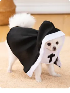 Close up detail of puppy wearing funny black white Halloween nun pet costume outfit.