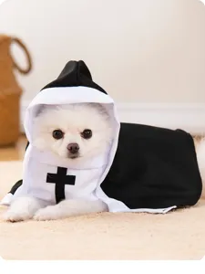 Halloween dog nun costume funny puppy cosplay outfit pet apparel black white design