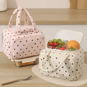 Insulated lunch bag for women, cute polka dot portable cooler tote bag for work school