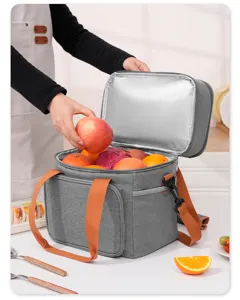 Portable insulated lunch bag cooler tote for picnic, school and work with durable straps.