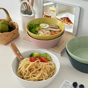 Moderne Retro Keramische Inktspatten Kom Grote Dessert Salade Fruit Yoghurt Ontbijtgranen Kom Onderglazuur Servies Voor Keuken