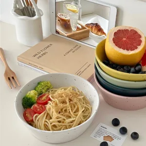 Koreaanse INS stijl gespikkelde keramische kom retro pasta fruit en yoghurt ontbijtkom