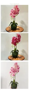 Detail view of artificial Phalaenopsis orchid potted plant with moss base for home decor.