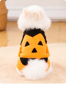 Close-up of funny Halloween pet costume with pumpkin face design and soft fluffy details.