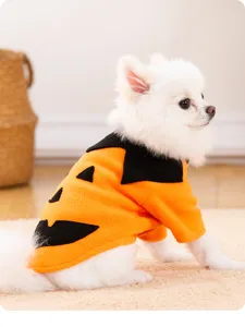 Cute Halloween pumpkin pet costume for small dogs, funny puppy apparel for holiday dress up.
