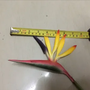 Artificial bird of paradise flower fake plant prop detail shot for home decor display.