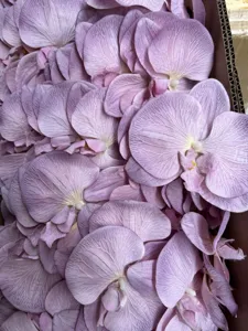 Artificial orchid flower heads bulk pack, pink fabric floral accessories for DIY crafts hats.