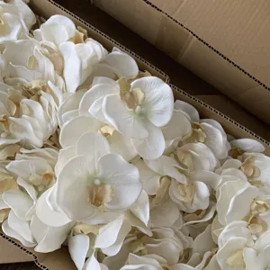 White artificial orchid flower heads for DIY crafts, shoes, and clothing accessories.