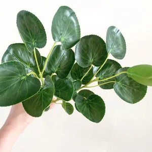 Artificial golden coin plant leaf close-up, rubber feel green foliage for floral arrangement detail.