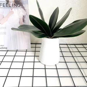 Artificial Phalaenopsis orchid leaves EVA green plant detail view for floral arrangement decor.