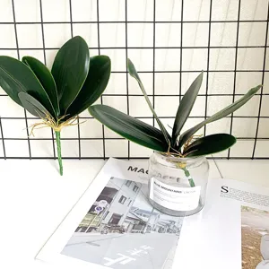 Artificial phalaenopsis orchid leaves EVA green plant foliage for floral arrangement decor