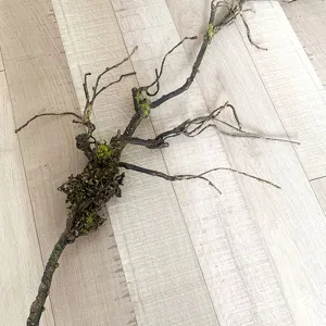 Detailansicht künstlicher Deko-Ast-Ranke mit Moos für Blumenarrangements und Floristik.