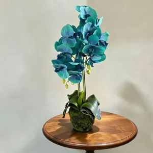 Orchidée Phalaenopsis artificielle en pot luxueuse composition florale déco salon meuble