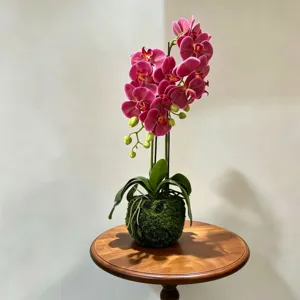 Artificial Phalaenopsis orchid potted plant fake flower for home decor wedding decoration