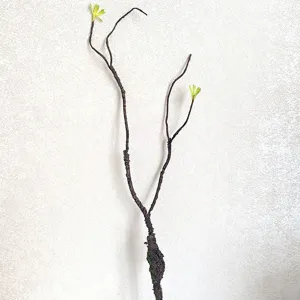 Künstlicher vertrockneter Ast Ranke Detailaufnahme für Heim- und Hochzeits-Blumendekoration