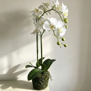 Artificial white orchid potted plant faux phalaenopsis with moss base for home decor.