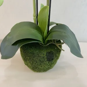 Artificial Phalaenopsis potted plant with moss base faux green leaf home decor display.