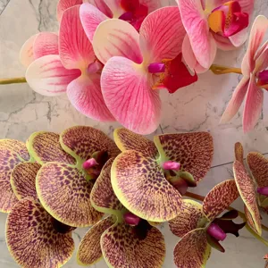 Artificial orchid flowers 9 heads fake phalaenopsis for home decor wedding decoration table top