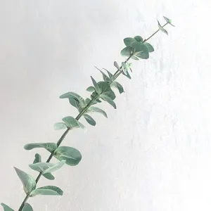 Künstlicher Eukalyptus-Blattstiel im Detail, grüner Münzblattzweig für Blumendekoration.