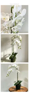 Artificial Phalaenopsis detail view, realistic white orchid floral arrangement pot, home decor.