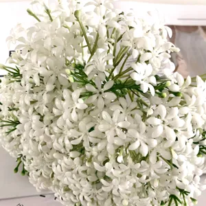 Détail de fleurs artificielles, petites fleurs blanches avec tiges vertes pour la maison.