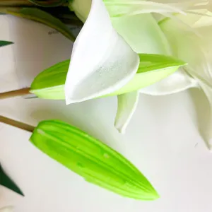 Close up view of artificial lily flower bud with realistic green texture and soft touch petals.