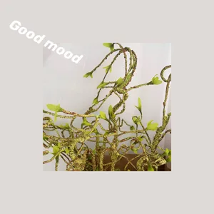 Artificial twisted tree branches with green leaves for home wedding decoration floral design.