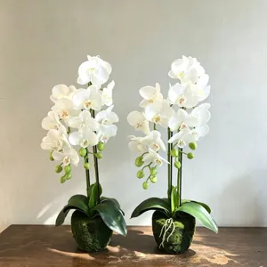 Artificial white phalaenopsis orchid potted plant for home living room decor floral display.