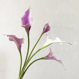 Luxe Léger Fleur Artificielle Calla Lys Tige Unique EVA Rétro Double Cœur Accessoire de Photographie Décoration d'Intérieur
