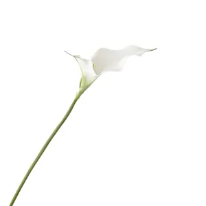 Fleur artificielle calla simple tige blanche fausse fleur déco accessoire de photographie élégant