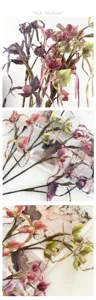 Vista dettagliata di fiori di orchidea Paphiopedilum artificiali, splendido decoro.