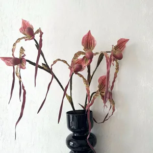 Orchidea Scarpetta di Venere Falsa Fiore di Seta Stelo di Phalaenopsis di Simulazione Per Decorazione Soggiorno Casa Festa di Matrimonio