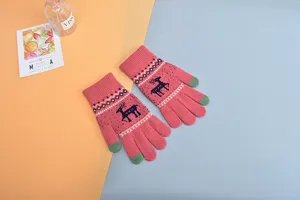 Guanti invernali in maglia touch screen per donne, design caldo e foderato per il freddo.