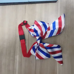 Detailed view of the red white and blue pet bow tie collar for dogs and cats during holidays.