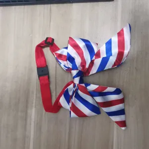 Pet collar detail view showing red, white and blue striped bow tie with adjustable red strap.