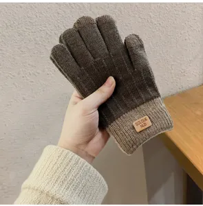 Primo piano di guanti in maglia marrone touch con toppa elegante, accessorio invernale.
