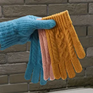 Winter Women Alpaca Wool Knit Touch Screen Gloves Solid Color Jacquard Warm Thermal Cold Weather Mittens