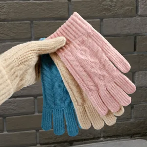 Winter Warm Knitted Gloves Solid Color Touch Screen Gloves Outdoor Cold Proof Adult Mittens