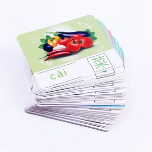 Cartes flash d'apprentissage pour enfants, éducation précoce, cartes cognitives jeux.