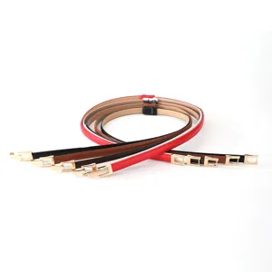 Detailed view of women skinny leather belts with elegant gold metal buckles set.