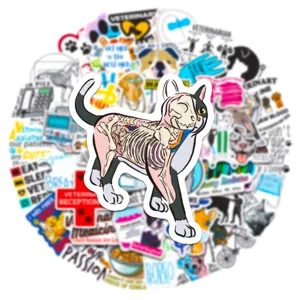 50pcs veterinary cat anatomical skeleton waterproof vinyl stickers for phone case skateboard cup